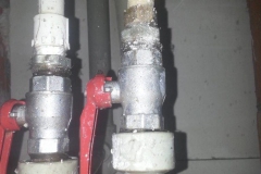 20141025_143020-768x1024